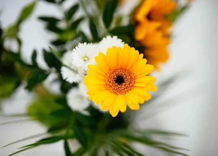 Bed & Breakfast Sunny